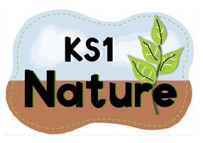 KS1 Nature